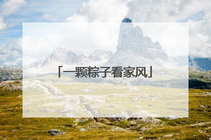 一颗粽子看家风