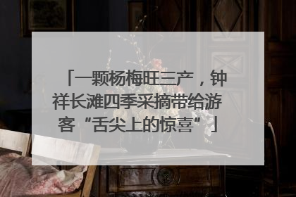 一颗杨梅旺三产，钟祥长滩四季采摘带给游客“舌尖上的惊喜”