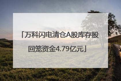 万科闪电清仓A股库存股 回笼资金4.79亿元