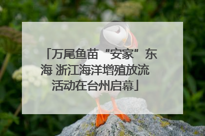 万尾鱼苗“安家”东海 浙江海洋增殖放流活动在台州启幕