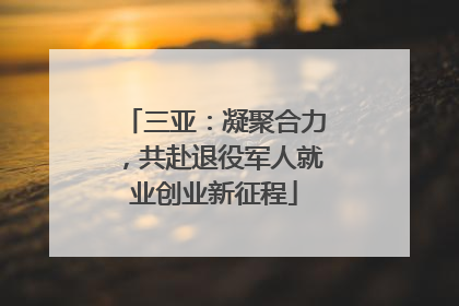 三亚：凝聚合力，共赴退役军人就业创业新征程