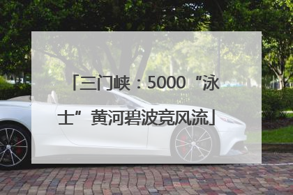 三门峡：5000“泳士”黄河碧波竞风流