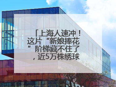 上海人速冲！这片“新娘捧花”阶梯藏不住了，近5万株绣球花如梦似幻