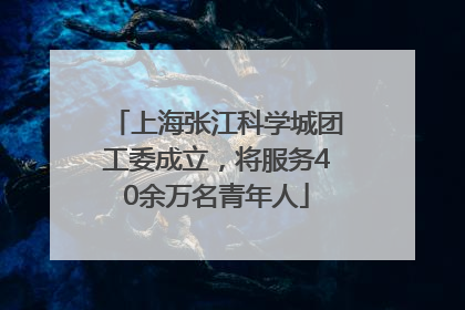 上海张江科学城团工委成立，将服务40余万名青年人