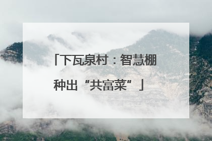 下瓦泉村：智慧棚种出“共富菜”
