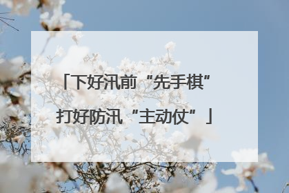 下好汛前“先手棋” 打好防汛“主动仗”