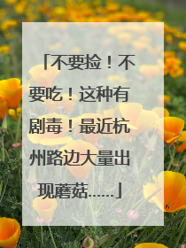 不要捡！不要吃！这种有剧毒！最近杭州路边大量出现蘑菇……