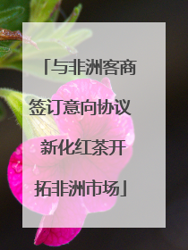 与非洲客商签订意向协议 新化红茶开拓非洲市场