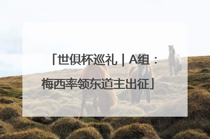 世俱杯巡礼｜A组：梅西率领东道主出征