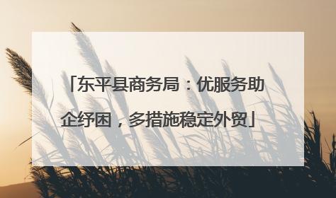 东平县商务局：优服务助企纾困，多措施稳定外贸