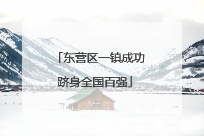 东营区一镇成功跻身全国百强
