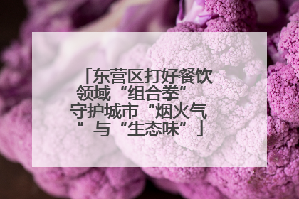 东营区打好餐饮领域“组合拳” 守护城市“烟火气”与“生态味”