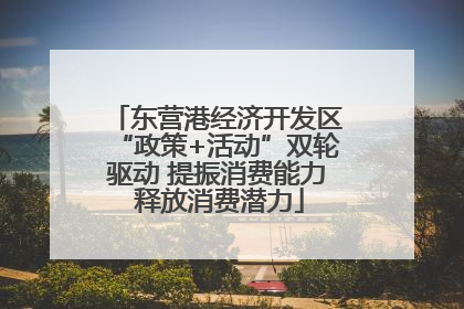 东营港经济开发区“政策+活动”双轮驱动 提振消费能力 释放消费潜力