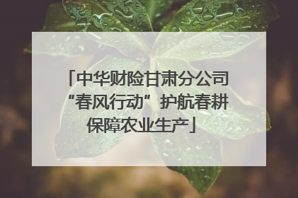中华财险甘肃分公司“春风行动”护航春耕 保障农业生产