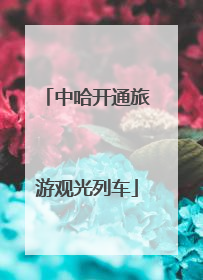 中哈开通旅游观光列车