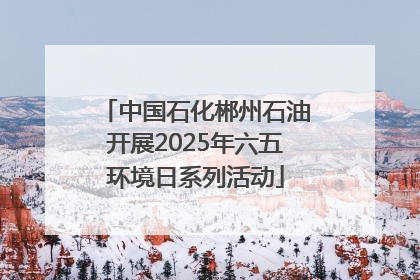 中国石化郴州石油开展2025年六五环境日系列活动
