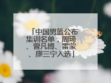 中国男篮公布集训名单，周琦、曾凡博、雷蒙、廖三宁入选
