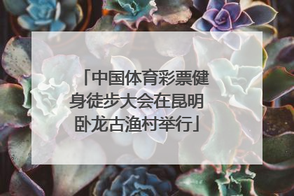 中国体育彩票健身徒步大会在昆明卧龙古渔村举行