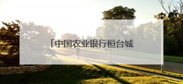 中国农业银行桓台城郊支行：迅速追回误扣款 暖心相助解民忧