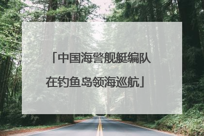 中国海警舰艇编队在钓鱼岛领海巡航
