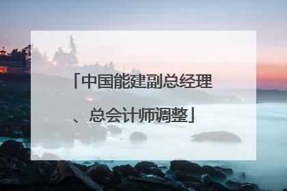中国能建副总经理、总会计师调整