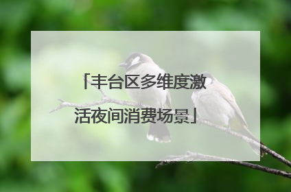 丰台区多维度激活夜间消费场景