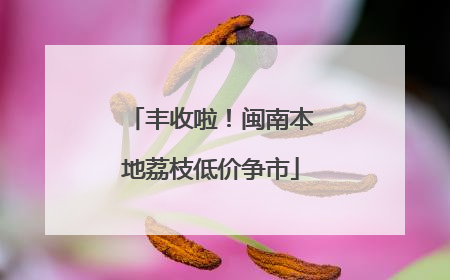 丰收啦！闽南本地荔枝低价争市