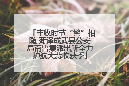 丰收时节“警”相随 菏泽成武县公安局南鲁集派出所全力护航大蒜收获季