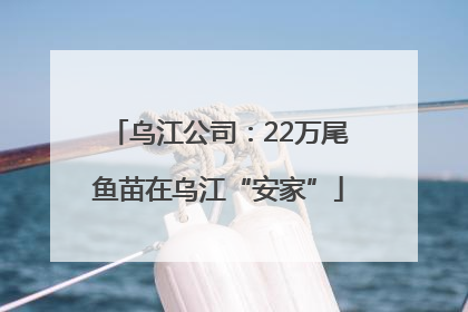 乌江公司：22万尾鱼苗在乌江“安家”