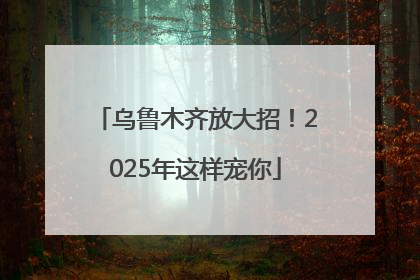 乌鲁木齐放大招！2025年这样宠你