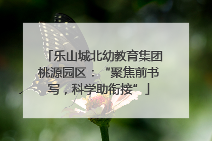 乐山城北幼教育集团桃源园区：“聚焦前书写，科学助衔接”