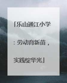 乐山通江小学：劳动育新苗，实践绽华光