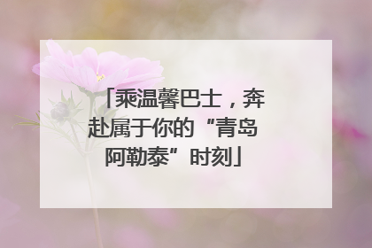 乘温馨巴士，奔赴属于你的“青岛阿勒泰”时刻