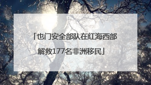 也门安全部队在红海西部解救177名非洲移民