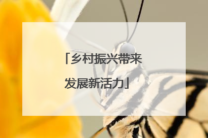 乡村振兴带来发展新活力