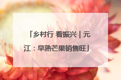 乡村行 看振兴｜元江：早熟芒果销售旺