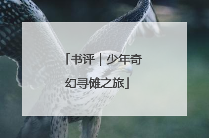 书评｜少年奇幻寻傩之旅