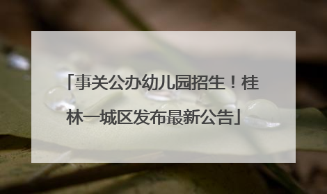 事关公办幼儿园招生！桂林一城区发布最新公告