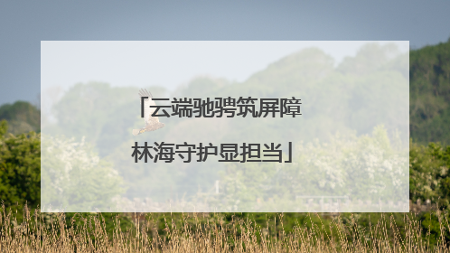 云端驰骋筑屏障 林海守护显担当
