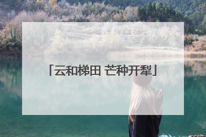 云和梯田 芒种开犁