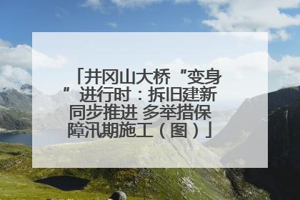 井冈山大桥“变身”进行时：拆旧建新同步推进 多举措保障汛期施工（图）