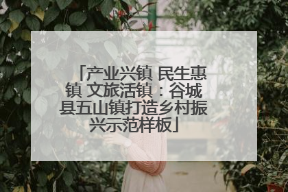 产业兴镇 民生惠镇 文旅活镇：谷城县五山镇打造乡村振兴示范样板