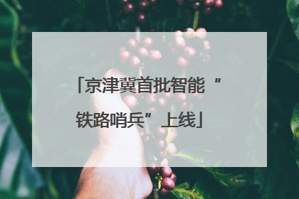 京津冀首批智能“铁路哨兵”上线