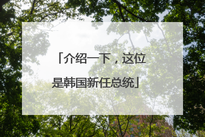 介绍一下，这位是韩国新任总统