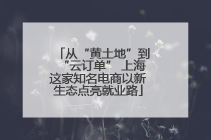 从“黄土地”到“云订单” 上海这家知名电商以新生态点亮就业路