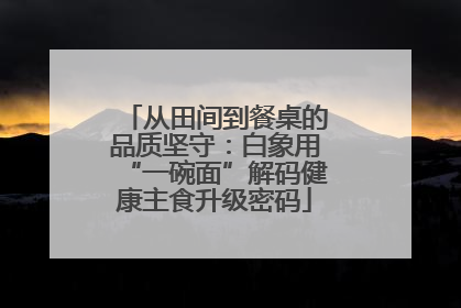 从田间到餐桌的品质坚守：白象用“一碗面”解码健康主食升级密码