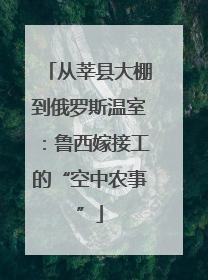 从莘县大棚到俄罗斯温室：鲁西嫁接工的“空中农事”