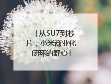 从SU7到芯片，小米商业化闭环的野心