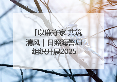 以廉守家 共筑清风｜日照海警局组织开展2025年集中送廉活动