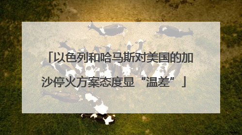 以色列和哈马斯对美国的加沙停火方案态度显“温差”